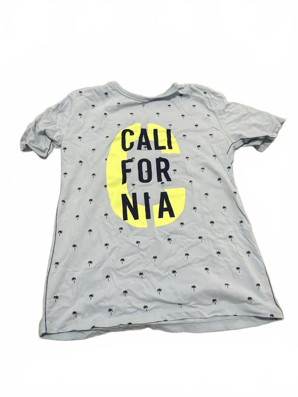 kidpik Boys Tee XL California Print